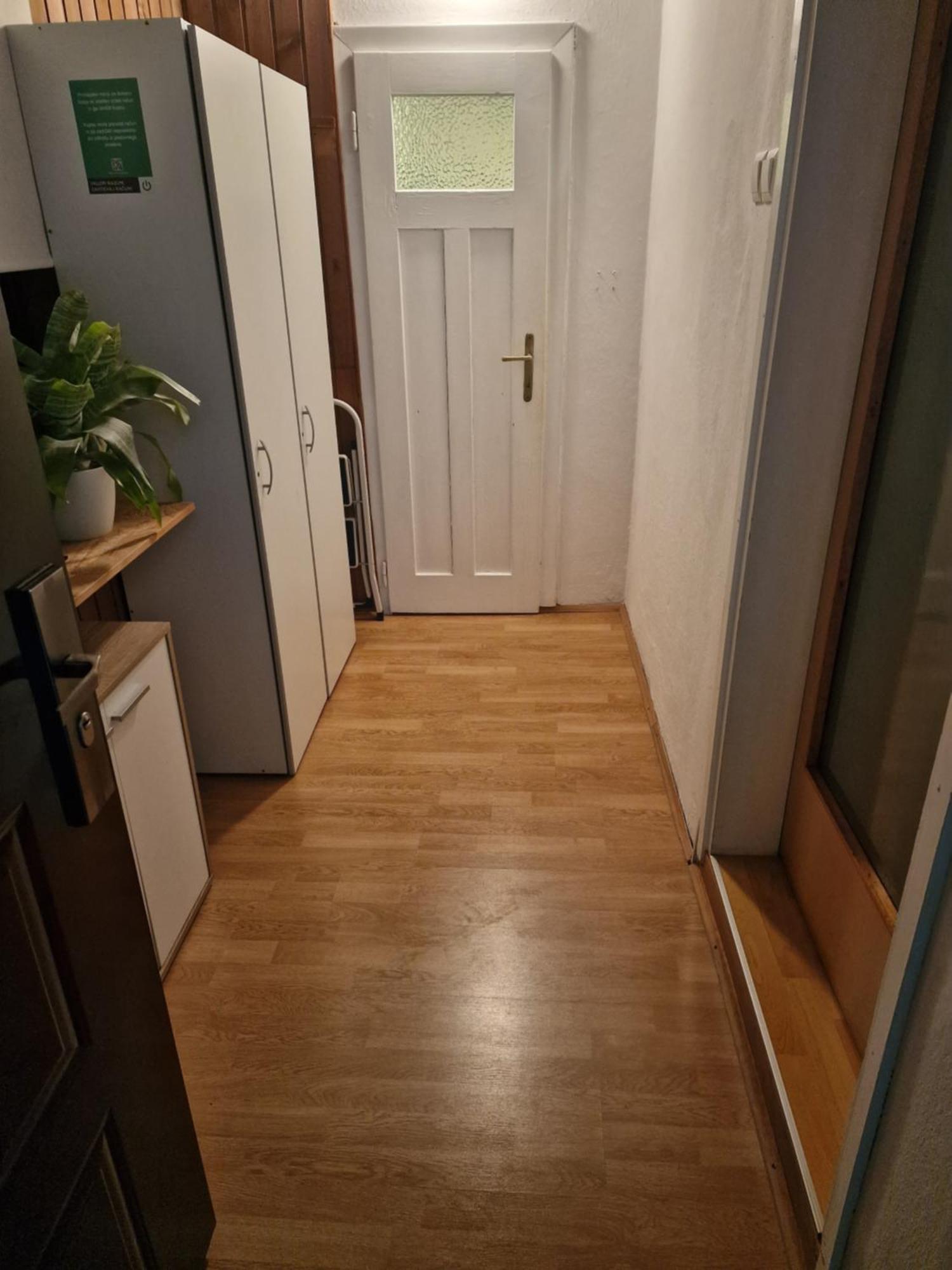 Saso Rooms & Apartments 卢布尔雅那 外观 照片